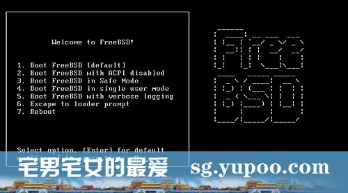 FreeBSD 7.0 图文安装教程